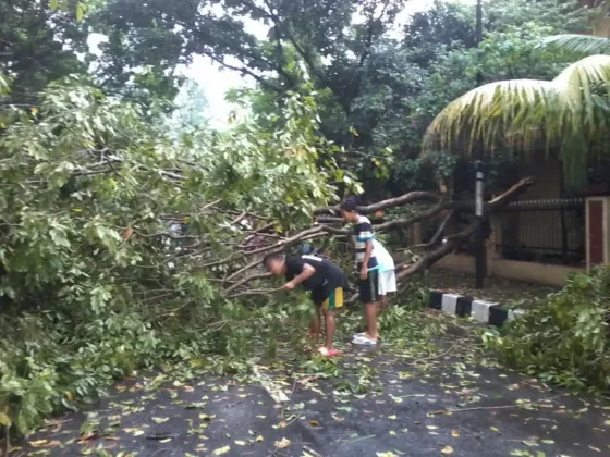 Hujan dan Angin Hantam Kota Tangerang