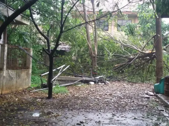 Hujan dan Angin Hantam Kota Tangerang