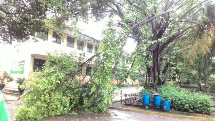 Hujan dan Angin Hantam Kota Tangerang