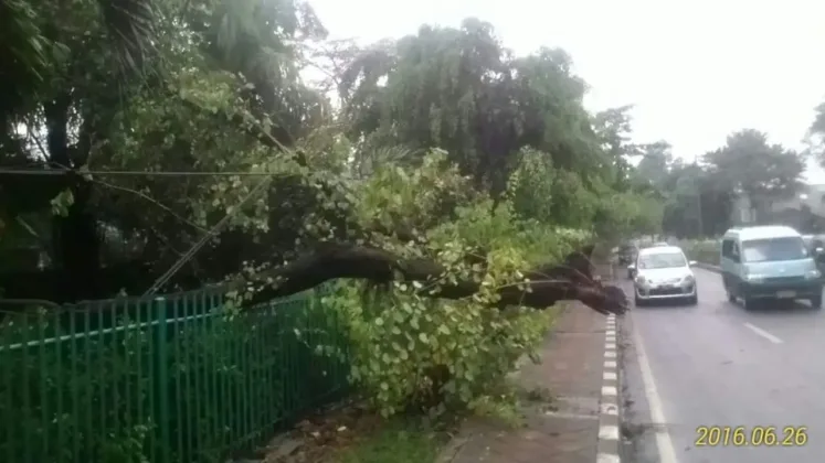 Hujan dan Angin Hantam Kota Tangerang