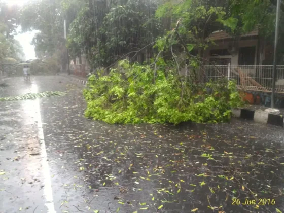 Hujan dan Angin Hantam Kota Tangerang