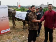 Bangun Ukhuwah di Hari Raya Idul Adha, Sinar Mas Land Sumbang Hewan Kurban ke Masjid