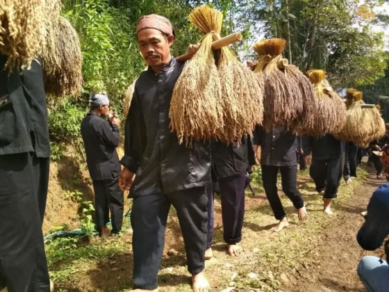 Upacara Adat Seren Taun Kasepuhan Ciptagelar