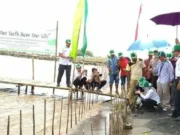 PT Angkasa Pura II tanam 4.000 batang pohon mangrove di Desa Kohod, Pakuhaji, Kabupaten Tangerang