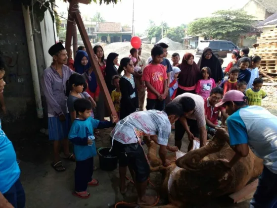 Posraya Indonesia Menyembelih dan Membagikan Hewan Kurban Presiden Jokowi