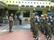 Satpol PP Kota Tangerang Ajukan 63 Pelanggar Perda ke Sidang Tipiring