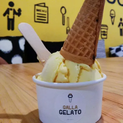 Rasakan Sensasi Nikmatnya Cicipi Ice Cream Galla Gelato di Pamulang