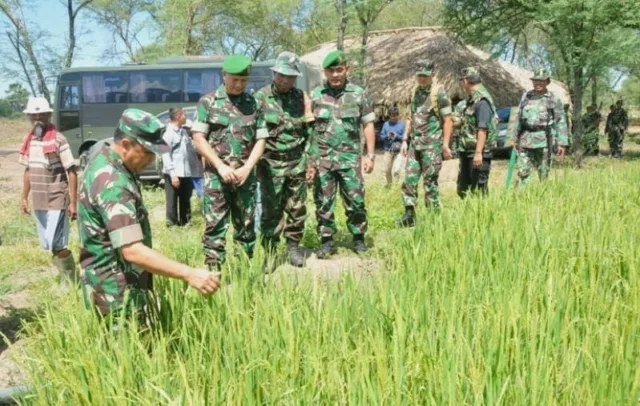 Dukung Swasembada Beras, Pemkab Lebak Libatkan TNI Cetak Sawah Baru