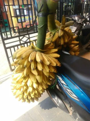 Pisang Goreng Keju Kriuk Abah Ipin Milik Johansyah Buka Franchise