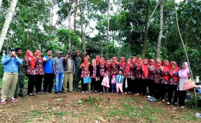 Manfaatkan Tanah Pekarangan, TP PKK Desa Warungbanten Gunakan Pupuk Alami