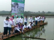 Dinas Perikanan Kabupaten Tangerang dan Himaputra Tanam 30 Ribu Pohon Mangrove di Mauk