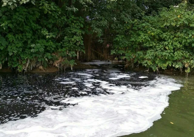 YAPELH Geram, Limbah Diduga Milik PT. Argo Pantes Kembali Cemari Sungai Cisadane