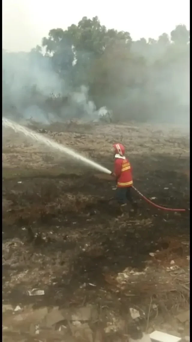 Kemarau Panjang : Kebakaran Lahan Terjadi Di Kawasan Kavling DPR Cipondoh