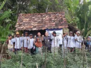 Program PKUR YBM BRI, naikkan Derjat Hidup Petani Cabai Merah