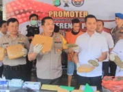 Seminggu Diintai, Polisi Gagalkan Peredaran Ganja 8 kilo