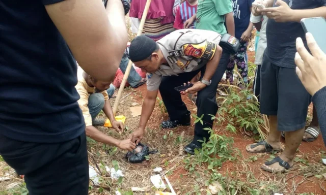 Jasad Bayi Dalam Kantong Plastik Hampir Dimakan Kucing