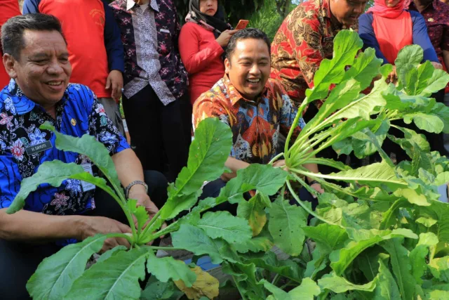 Panen Sayur Mayur di KRPL Kota Tangerang Bersama Wali Kota