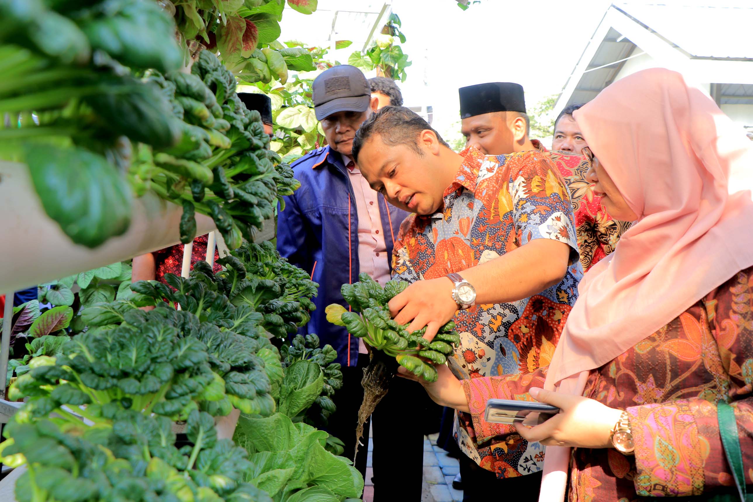 Panen Sayur Mayur di KRPL Kota Tangerang Bersama Wali Kota