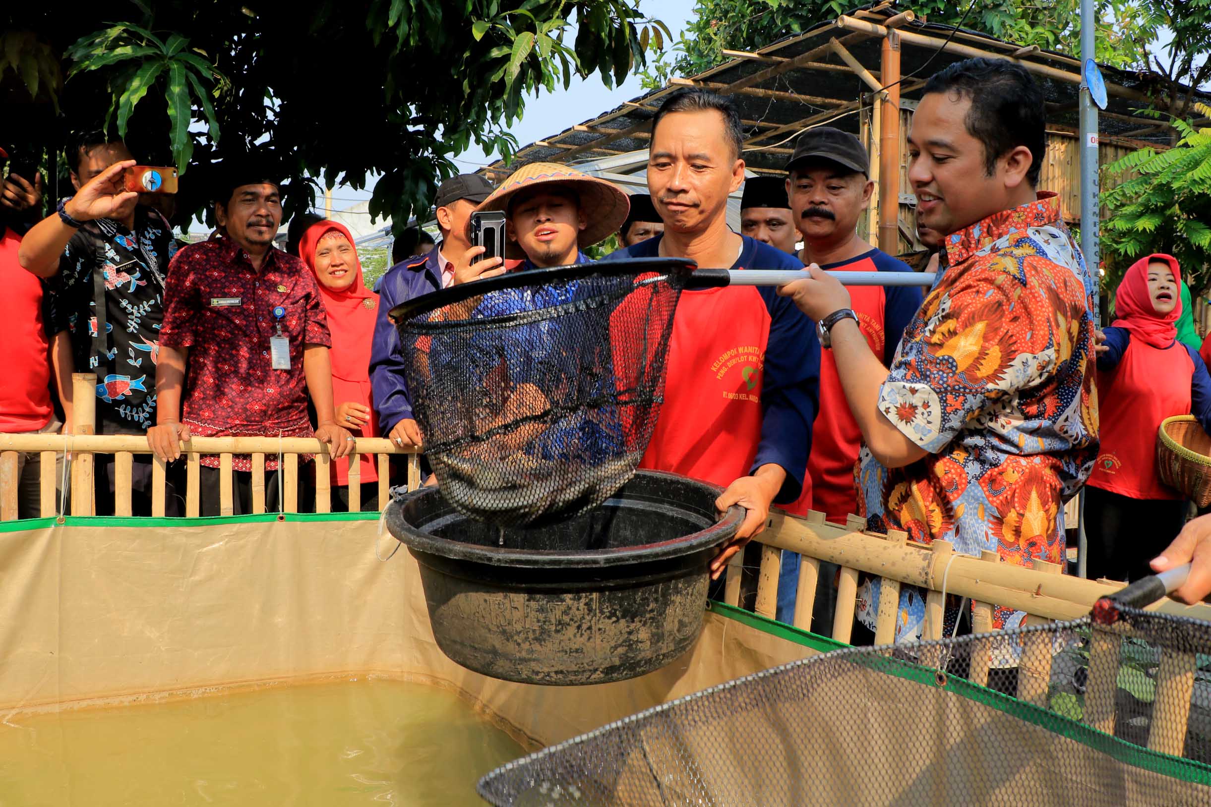 Panen Sayur Mayur di KRPL Kota Tangerang Bersama Wali Kota