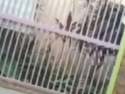 Aksi Pria Onani Depan Kost Putri di Kota Serang