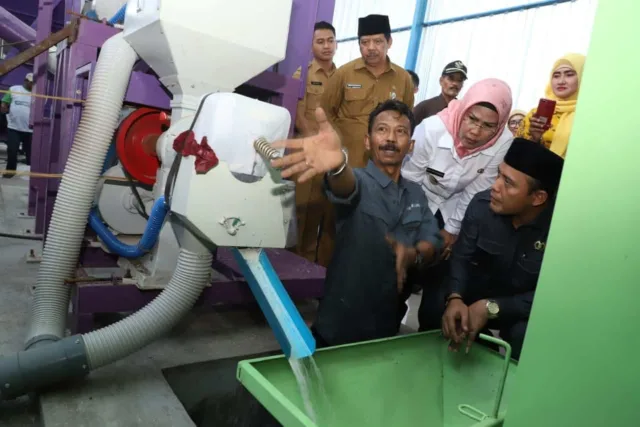 Produksi Surplus, Pemkab Serang Kampanyekan Beras Lokal