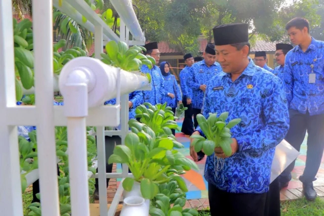 Panen Pak Choi di Puspem Kota Tangerang, Manfaatkan Area Terbuka