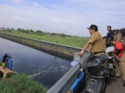 Curah Hujan Tinggi, Pemkot Tangerang Optimalkan Peran Situ