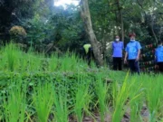 Hutan Kota Miliki Sarana Baru, Arief: Bisa Jadi Sarana Edukasi