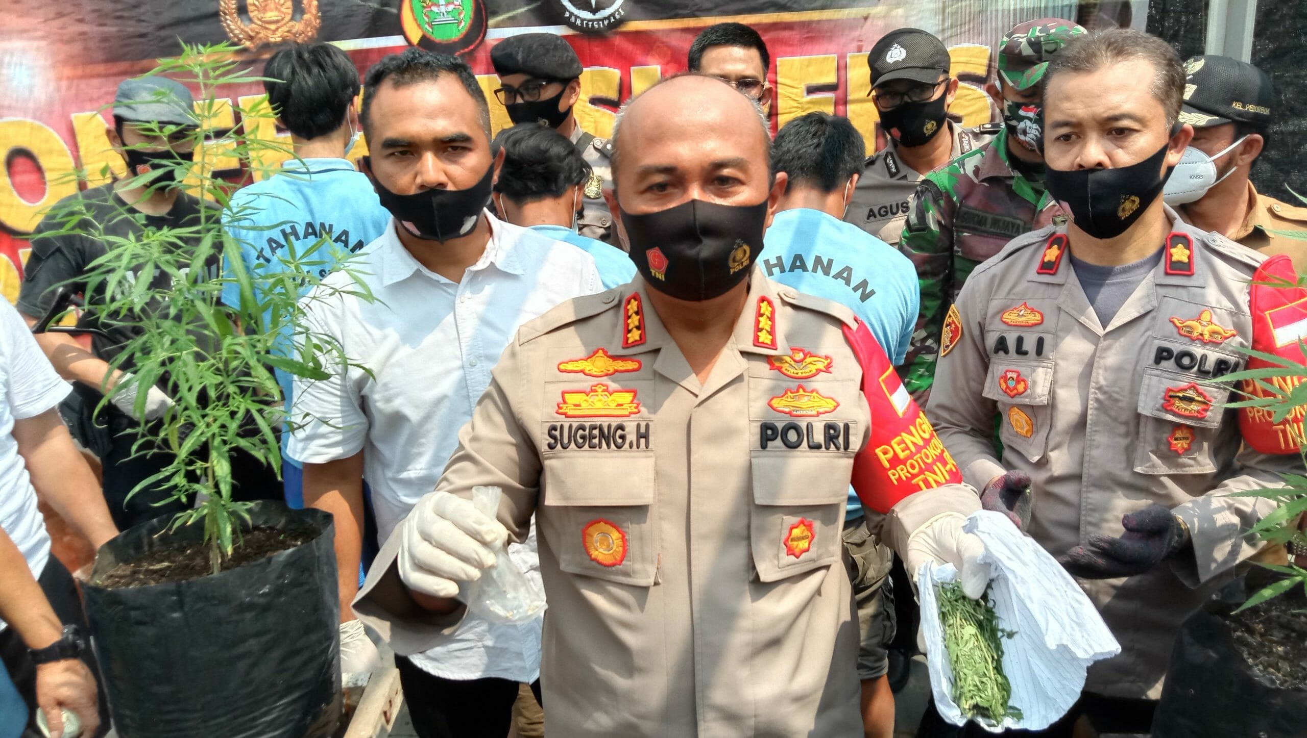 Modus Tanam Cabe Ternyata Ganja di Atas Rumah di Kota Tangerang, Kelabui Warga