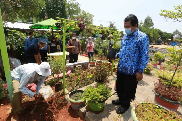 DKP Kota Tangerang Sebar Ratusan Ribu Bibit Tanaman Produktif