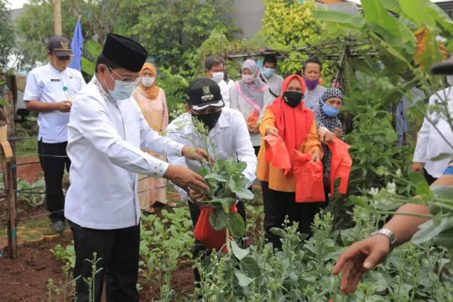 DKP Kota Tangerang Sebar Bibit Sayuran Buah Sebanyak 486 Ribu Polybag