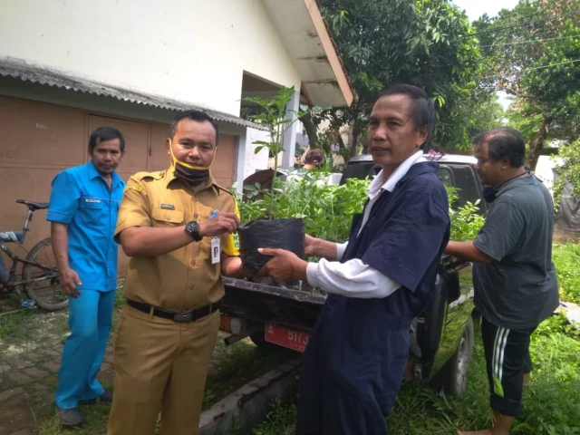 DKP Kota Tangerang Bagikan Bibit Sayuran ke Masyarakat Cipondoh