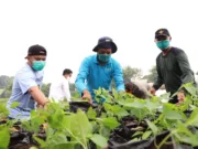 Urban Farming Sulap Lahan Kumuh Jadi Produktif di Bantaran Cisadane