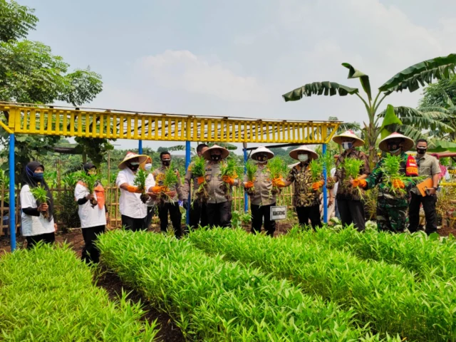 Diakhir Masa Dinas, Kapolda Metro Jaya Panen Raya Ketahanan Pangan di Tangerang