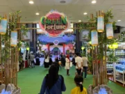 Hobi Tanaman Hias? Tangcity Mall Hadirkan Destinasi Belanja Green Fortune