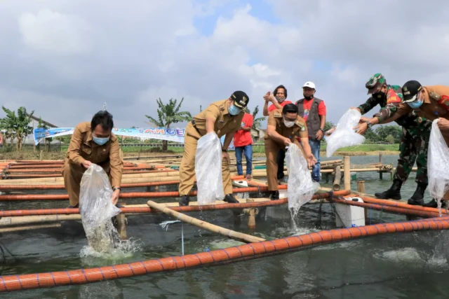 Kemandirian Pangan, Bibit Tanaman dan Benih Ikan Dibagi ke KWT se-Kota Tangerang