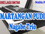 Lirik Lagu Martangan Pudi - Nagabe Trio