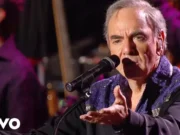 Lirik Lagu Sweet Caroline - Neil Diamond dan Terjemahan