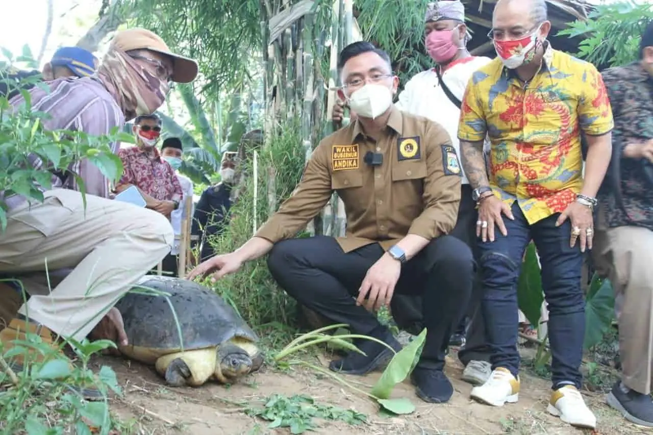 Wakil Gubernur Banten Andika Hazrumy saat melepasliarkan Kura-kura ke sungai Cisadane.