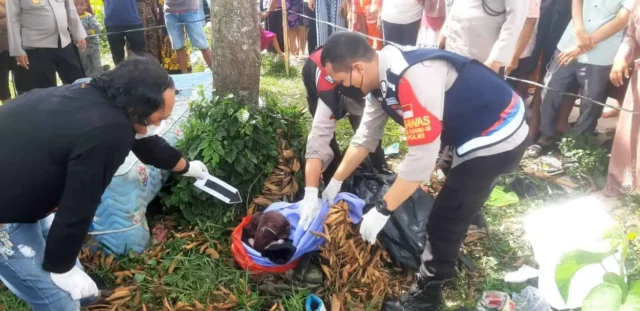 Hendak Buang Sampah, Warga Temukan Mayat Bayi Dalam Kantong Plastik di Pinggir Jalan