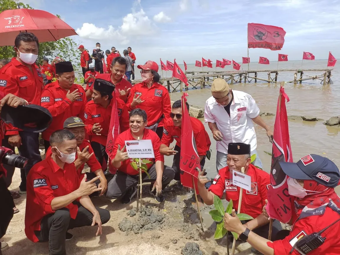 Ketua DPC PDI Perjuangan Kabupaten Tangerang H.Irvansyah bersama para kader PDIP saat menanam bibit pohon mangrove.