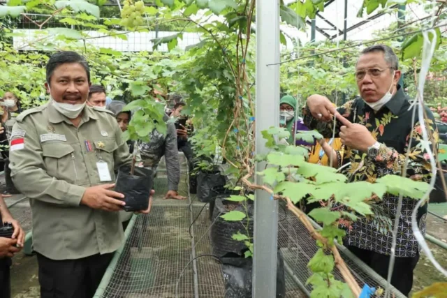 Hadiri Milad Komunitas Anggur Tangsel, Benyamin: Akan Jadikan Tangsel Kota Anggur