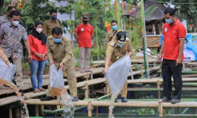 1.500 Bibit Ikan Nila Disebar di Kampung Kerambah Periuk