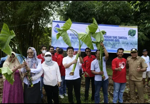 Kegiatan penanaman pohon Talas Beneng.