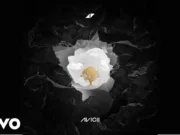 Lirik Lagu Without You Avicii ft. Sandro Cavazza dan Terjemahan