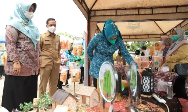 Kampung Jimpitan Wakili Kota Tangerang di Penilaian Kampung KB Tingkat Provins