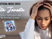 Lirik Lagu Cinta Sebodoh Ini - Tata Janeeta