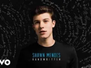 Lirik Lagu Imagination - Shawn Mendes dan Artinya