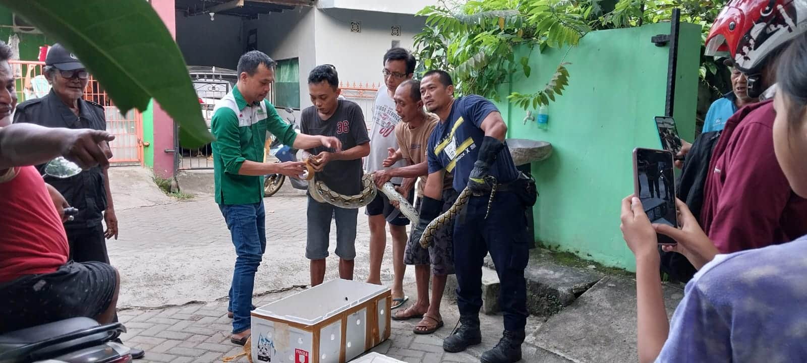 Warga Gardenia Sepatan Tangerang, Digegerkan Penemuan Ular Phyton 3 Meter