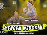 Lirik Lagu Mendem Wedokan - Denny Caknan Feat Happy Asmara